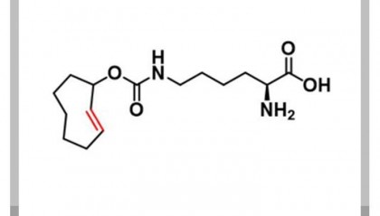 N-(2E)-TCO-L-lysine,1580501-94-5,TCO点击试剂的化学性质介绍