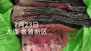 大连一男子忘关窗户，出差半个多月后回家，发现阳台上的10万元经大雨反复浸泡、烈日暴晒，已经粘连在一起无法分开……最终兑换出8.2万元