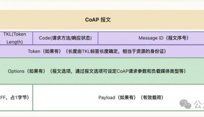 物联网数据接入篇-应用层 CoAP(7)