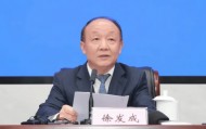 徐发成被查