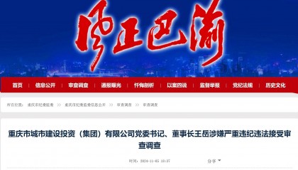重庆市城市建设投资(集团)有限公司党委书记、董事长王岳被查