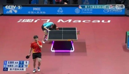 王楚钦回应输球樊振东后用头撞球台：不要注意不重要的细节