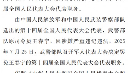 涉嫌严重违纪违法,4名将领被罢免人大代表原因披露