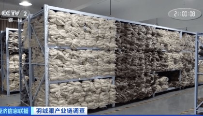 羽绒服，价格大涨！“去年卖300元的，今年打折都要438元”！业内：猪肉价格较低影响鸭鹅肉需求，鸭鹅养殖减少，致绒毛涨价