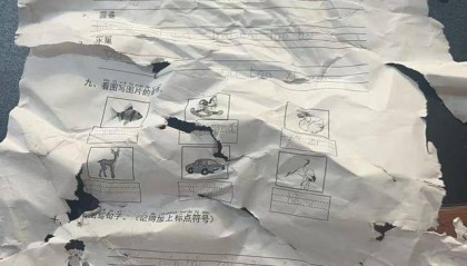 ​晚上回家发现语文作业被扫地机器人“吃”了，杭州小学生陷入纠结