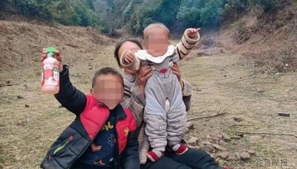 痛心!7岁哥哥和2岁妹妹遭蜂群蜇数百次身亡,警方已刑事立案