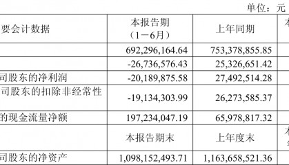 迎丰股份:2025年上半年实现营业总收入6.92亿元