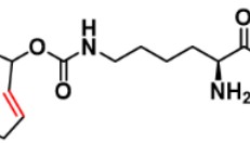 (2E)-TCO-L-lysine，1580501-94-5，(2E)-反式环辛烯-PNB酯的特点
