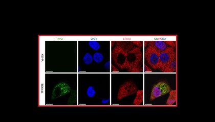 AME 旗下 34 本被 WOS 收录期刊一览｜截至 2024 年 5 月