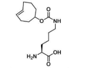 N-(4E)-TCO-L-lysine的概述