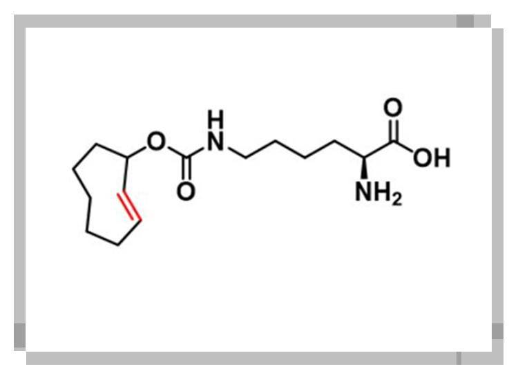 N-(2E)-TCO-L-lysine，1580501-94-5，TCO点击试剂的化学性质介绍