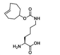 N-(4E)-TCO-L-lysine|CAS:1380349-88-1的应用