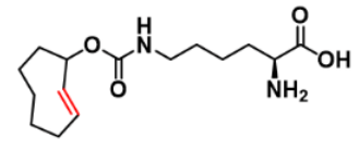 (2E)-TCO-L-lysine|1580501-94-5|(2E)-反式环辛烯-PNB酯的特点