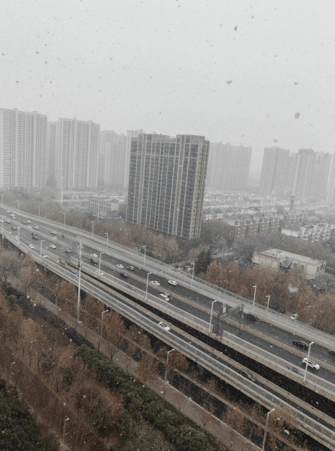 下！雪！啦！河南多地迎初雪，多条高速禁止上站