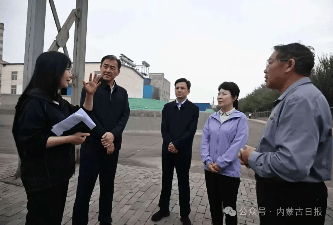 王莉霞在乌海市现场督导中央生态环境保护督察通报典型案例整改工作