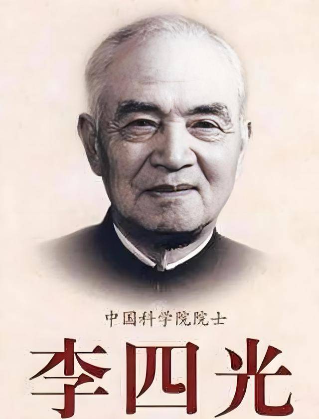 杨幂为什么叫杨幂？人名中的数字与数学