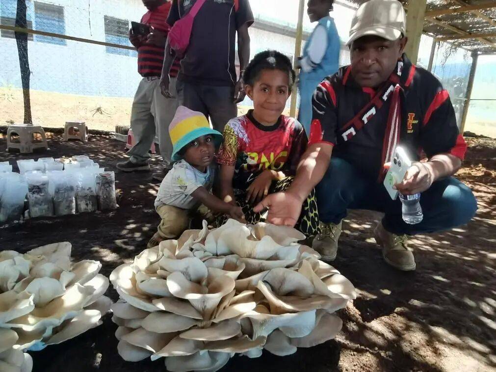 时政微观察丨为亚太和世界经济发展注入新动力