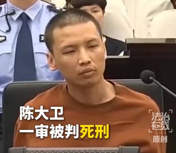 陈大卫被判处死刑：利用武装力量肆意杀人，造成2名中国公民死亡，称杀人“没什么感受”，嚣张放话“就让中国法律来制裁我吧”