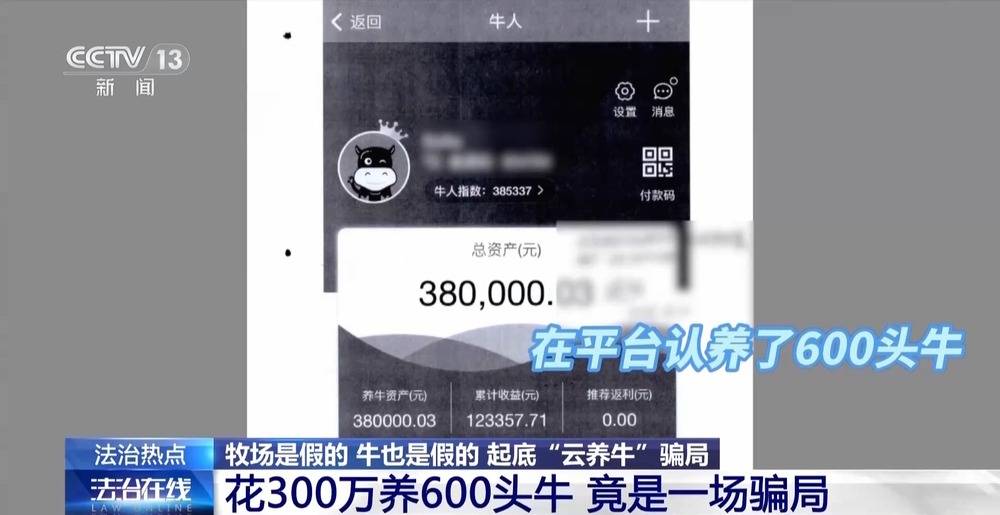 法治在线丨12万人被骗5.6亿 起底“云养牛”骗局