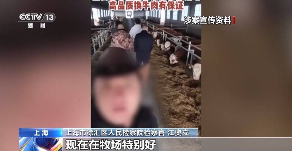 法治在线丨12万人被骗5.6亿 起底“云养牛”骗局