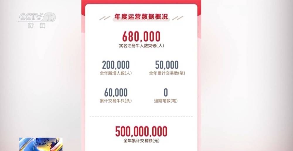 法治在线丨12万人被骗5.6亿 起底“云养牛”骗局