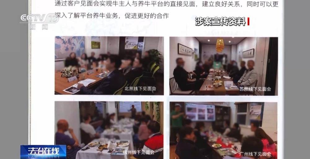 法治在线丨12万人被骗5.6亿 起底“云养牛”骗局